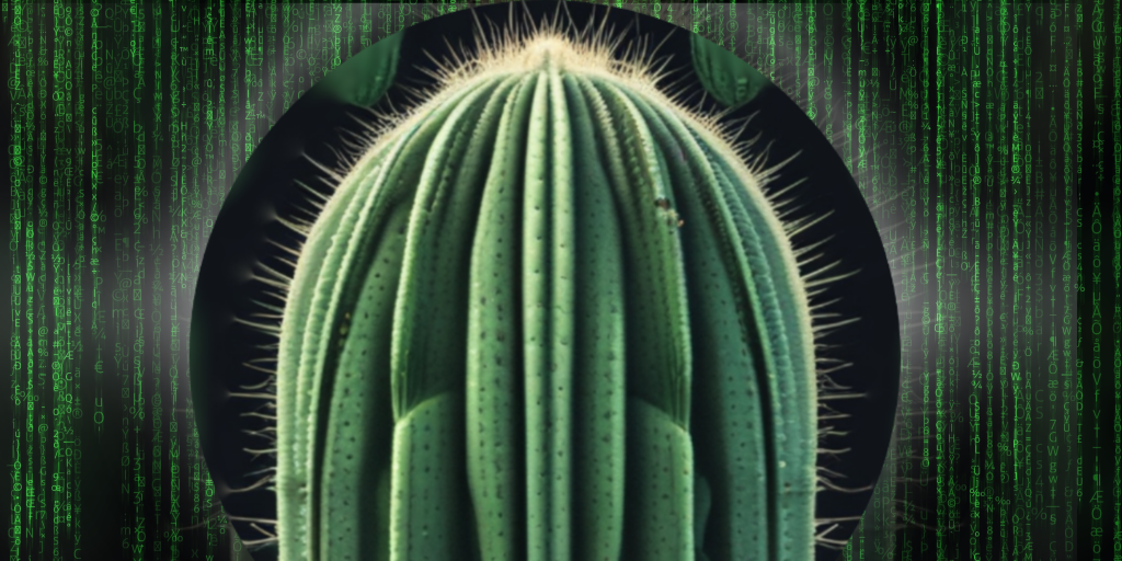 IMAÏA | Opération Cactus - sensibiliser les jeunes à la cybersécurité